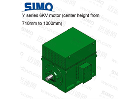 Y系列 6KV(中心高710-1000) 三相异步电动机